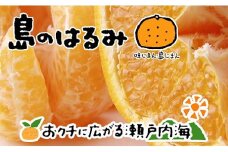 【2026年2月中旬から発送予定】希望の島 はるみ 4kg 愛媛 中島産 愛媛県産 みかん