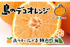 【2026年4月上旬から発送予定】不知火 しらぬい 4kg 12玉 ~ 26玉 ( M ~ 3L ) 特選品 期間限定 愛媛県産 みかん
