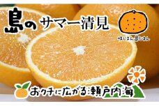 【2026年4月上旬から発送予定】希望の島 サマー清見 4kg 愛媛 中島産 愛媛県産 みかん 柑橘