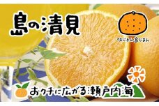 【2026年4月上旬から発送予定】希望の島 清見タンゴール 4kg 愛媛 中島産 | みかん 柑橘 みかん 清見 タンゴール みかん 清見 みかん 柑橘