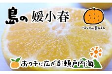 【2026年3月上旬から発送予定】希望の島 媛小春 2kg 愛媛 中島産