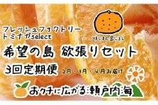 【2026年2月中旬から発送予定】 希望の島 欲張りセット 3回定期便（2月・3月・4月お届け） みかん 柑橘 はるみ 不知火 サマー清見 愛媛県産 みかん 柑橘 定期便