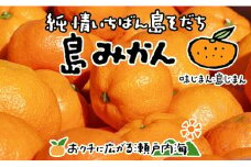 【2026年1月上旬から発送予定】希望の島 温州みかん 新品種『ゆたか』 3kg |愛媛 松山 みかん ミカン 温州みかん mikan  果物 フルーツ 柑橘 果実 先行予約 中島産 柑橘 ジューシー 愛媛県 松山市