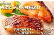 真鯛とブリの柚庵漬け 各2パック | 骨取り加工 セット 海鮮 魚介 鯛 ブリ タイ 鰤 柚子 柚庵 簡単調理 お惣菜 惣菜 ご飯 お供 酒の肴 おつまみ お酒 にも合う たい ぶり 柚子 骨取り 冷凍 海産物 魚 さかな お魚 人気 おすすめ 送料無料 お取り寄せ グルメ 国産 愛媛県 松山市