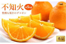 【先行予約】【2026年2月上旬から発送】 不知火(しらぬい)＜秀品＞約5kg