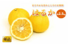 【先行予約】【2026年2月中旬から発送予定】はるか 家庭用(優品) 約2.5kg
