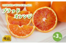 【先行予約】【2026年3月中旬から発送】ブラッドオレンジ＜優品＞約3kg