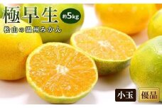 【先行予約】【2025年10月中旬から発送予定】温州みかん「極早生」＜優品・小玉＞約5kg （ 愛媛産 愛媛県産 国産 愛媛みかん 愛媛蜜柑 愛媛ミカン みかん ミカン mikan 蜜柑 柑橘 フルーツ 果物 くだもの お取り寄せ 産地直送 数量限定 人気 おすすめ 愛媛県 松山市 送料無料 ）