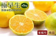 【先行予約】【2025年10月中旬から発送予定】温州みかん「極早生」＜優品・家庭用＞約5kg （ 愛媛産 愛媛県産 国産 愛媛みかん 愛媛蜜柑 愛媛ミカン みかん ミカン mikan 蜜柑 柑橘 フルーツ 果物 くだもの お取り寄せ 産地直送 数量限定 人気 おすすめ 愛媛県 松山市 送料無料 ）