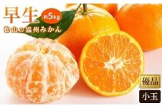 【先行予約】【2025年11月中旬から発送予定】温州みかん「早生」＜優品・小玉＞約5kg 愛媛みかん 愛媛蜜柑 愛媛ミカン うんしゅう みかん mikan 先行予約 果物 フルーツ 柑橘 濃厚 甘い 甘味 蜜柑 産地直送 農家直送 数量限定 国産 愛媛 愛媛県産