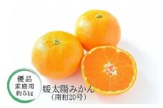 【先行予約】【2025年12月中旬から発送予定】温州みかん「南柑20号」＜優品・家庭用＞約5kg （ 愛媛産 愛媛県産 国産 愛媛みかん 愛媛蜜柑 愛媛ミカン みかん ミカン mikan 蜜柑 柑橘 フルーツ 果物 くだもの お取り寄せ みかん 産地直送 ミカン 蜜柑 数量限定 人気 おすすめ 愛媛県 松山市 送料無料 松山市産みかん ココオのみかん 温州ミカン 温州みかん 家庭用みかん）