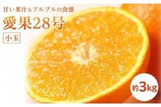 【11月中旬から発送予定】愛果28号＜小玉＞約3kg （ 愛媛産 愛媛県産 国産 愛媛みかん 愛媛蜜柑 愛媛ミカン みかん ミカン mikan 蜜柑 柑橘 フルーツ 果物 くだもの お取り寄せ 産地直送 数量限定 人気 おすすめ 愛媛県 松山市 送料無料 ）