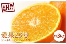 【11月中旬から発送予定】＜訳あり＞愛果28号 約3kg （ 愛媛産 愛媛県産 国産 愛媛みかん 愛媛蜜柑 愛媛ミカン みかん ミカン mikan 蜜柑 柑橘 フルーツ 果物 くだもの お取り寄せ 産地直送 数量限定 人気 おすすめ 愛媛県 松山市 送料無料 ）