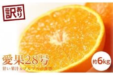 【11月中旬から発送予定】＜訳あり＞愛果28号 約６kg （ 愛媛産 愛媛県産 国産 愛媛みかん 愛媛蜜柑 愛媛ミカン みかん ミカン mikan 蜜柑 柑橘 フルーツ 果物 くだもの お取り寄せ 産地直送 数量限定 人気 おすすめ 愛媛県 松山市 送料無料 ）