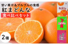 【11月下旬から発送】  紅まどんな（食べ比べ）セット （ 紅まどんな 柑橘 フルーツ まどんな みかん 愛媛 みかん 紅まどんな 蜜柑 紅まどんな ）