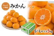 【発送は11月中旬から】 中島産 みかん S～L サイズ 5kg （ 国産 愛媛みかん 愛媛蜜柑 愛媛ミカン みかん ミカン mikan 蜜柑 柑橘 フルーツ 果物 くだもの お取り寄せ 産地直送 数量限定 人気 おすすめ 愛媛県 松山市 送料無料 フジ・アグリフーズ ）