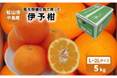 【発送は1月下旬から】 松山市中島産 伊予柑 Lから2Lサイズ 5kg （ 国産 愛媛みかん 愛媛ミカン みかん ミカン mikan 蜜柑 柑橘 フルーツ 果物 くだもの お取り寄せ 産地直送 数量限定 人気 おすすめ 愛媛県 松山市 送料無料 フジ・アグリフーズ）