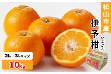 松山市産 伊予柑 秀品 2L～3Lサイズ （10kg）愛媛産  国産 愛媛みかん 愛媛蜜柑 愛媛ミカン みかん ミカン mikan 蜜柑 柑橘 フルーツ 果物 くだもの お取り寄せ 産地直送 数量限定 人気 おすすめ 愛媛県 松山市 フジ・アグリフーズ