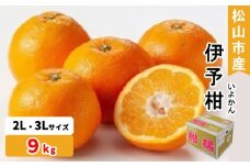 松山市産 伊予柑 秀品 2L～3Lサイズ （9kg）愛媛産  国産 愛媛みかん 愛媛蜜柑 愛媛ミカン みかん ミカン mikan 蜜柑 柑橘 フルーツ 果物 くだもの お取り寄せ 産地直送 数量限定 人気 おすすめ 愛媛県 松山市 フジ・アグリフーズ