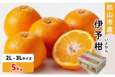 松山市産 伊予柑 秀品 2L～3Lサイズ （5kg）愛媛産  国産 愛媛みかん 愛媛蜜柑 愛媛ミカン みかん ミカン mikan 蜜柑 柑橘 フルーツ 果物 くだもの お取り寄せ 産地直送 数量限定 人気 おすすめ 愛媛県 松山市 フジ・アグリフーズ
