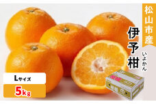 松山市産 伊予柑 秀品 Lサイズ（5kg）愛媛産  国産 愛媛みかん 愛媛蜜柑 愛媛ミカン みかん ミカン mikan 蜜柑 柑橘 フルーツ 果物 くだもの お取り寄せ 産地直送 数量限定 人気 おすすめ 愛媛県 松山市 フジ・アグリフーズ