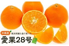 【12月上旬から発送】 中島産 手詰め愛果（あいか） L～3Lサイズ （ 愛媛産 愛媛県産 国産 愛媛みかん 愛媛蜜柑 愛媛ミカン みかん ミカン mikan 蜜柑 柑橘 フルーツ 果物 くだもの お取り寄せ 産地直送 数量限定 人気 おすすめ 愛媛県 松山市 送料無料 ）