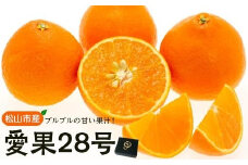 ★発送は11月下旬～★ 松山市産 愛果28号 L～3L 愛媛産  国産 愛媛みかん 愛媛蜜柑 愛媛ミカン みかん ミカン mikan 蜜柑 柑橘 フルーツ 果物 くだもの お取り寄せ 産地直送 数量限定 人気 おすすめ 愛媛県 松山市 フジ・アグリフーズ