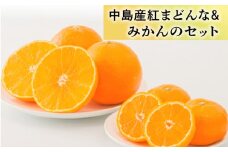 「中島産紅まどんな」と「中島みかん」のセット （ 紅まどんな 柑橘 フルーツ まどんな みかん 愛媛 みかん 紅まどんな 蜜柑 紅まどんな ）