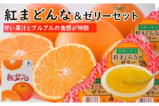 【11月下旬から発送】  紅まどんな＆紅まどんなゼリーのセット | 柑橘 フルーツ まどんな 愛媛 みかん 蜜柑 フジ・アグリフーズ 愛媛県 松山市