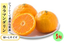 ★発送は4月下旬～★ カラマンダリン 5kg（MからLサイズ）
