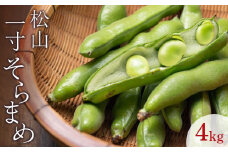 【先行予約】【4月下旬から発送】 ＜松山ブランド＞松山一寸そらまめ 4kg （ 春野菜 ソラマメ そら豆 空豆  産地直送 期間限定 愛媛 松山 フジ・アクリフーズ ）