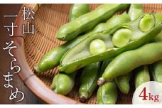 【先行予約】【2026年4月下旬から発送】 ＜松山ブランド＞松山一寸そらまめ 4kg （ 春野菜 ソラマメ そら豆 空豆  産地直送 期間限定 愛媛 松山 フジ・アクリフーズ ）