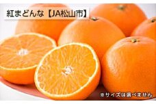 【11月下旬から発送】  松山市興居島産　紅まどんな　L～3Lサイズ（ みかん 紅まどんな 高級 柑橘 フルーツ 果物 蜜柑 みかん 愛媛 フルーツ 松山 みかん ）