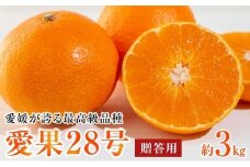 【先行予約】【2024年12月上旬から順次発送】愛媛が誇る最高級品種【愛果28号】贈答用 化粧箱 3kg(10-15個前後）あいか 贈答用 みかん 数量限定 みかん 愛媛県産 みかん 愛果28号 松山市 みかん 愛果28号 みかん 蜜柑 愛果28号 ミカン みかん 旬 愛果28号 愛媛県 松山市