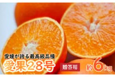 【先行予約】【2024年12月上旬から順次発送】最高級品種【愛果28号】贈答用-化粧箱-　6kg(20-30個前後）あいか 贈答用 みかん 数量限定 みかん 愛媛県産 みかん 愛果28号 松山市 みかん 愛果28号 みかん 蜜柑 愛果28号 ミカン みかん 旬 愛果28号 愛媛県 松山市