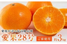 【先行予約】【2024年12月上旬から順次発送】愛媛が誇る最高級品種【愛果28号】ご家庭用 3kg (10-15個前後)　あいか ご家庭用 みかん 数量限定 みかん 愛媛県産 みかん 愛果28号 松山市 みかん 愛果28号 みかん 蜜柑 愛果28号 ミカン みかん 旬 愛果28号 愛媛県 松山市