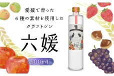 道後ジン 六媛 500ml お中元 おすすめ 人気 ギフト 道後 フルーツ 酒 プレゼント