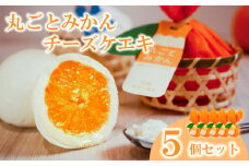 丸ごとみかんチーズケエキ 5個セット チーズケーキ お菓子 スイーツ おやつ