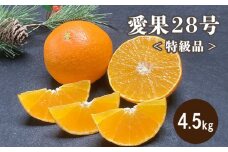【先行予約】【12月より発送】 特級品 愛果28号 4.5kg | 12月発送 紅まどんな と同品種 みかん 柑橘 愛果28号 みかん あいか 果物 フルーツ 松山市 愛媛県 田村農園 【TMN0101】