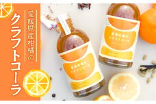 愛媛柑橘のクラフトコーラ 1本 250ml ｜コーラ クラフトコーラ こーら シロップ スパイス 炭酸 柑橘  レモン ライム  紅マドンナ 伊予柑 甘平 夏みかん 早生みかん みかん アレンジ 贈答 愛媛県 松山市