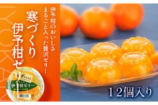 【 柑橘 寒づくり ゼリー】いよかん ゼリー 12個 セット | ゼリー いよかんゼリー みかん 蜜柑 柑橘 いよかん 伊予柑 スイーツ 愛媛県 松山市