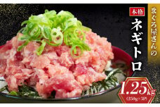 ネギトロ 1.25kg ( 250g×5パック ) 冷凍 小分け 大盛り 1人前 パック 自家製 鮪 まぐろ ねぎトロ ねぎとろ 寿司 ネギトロ丼 愛媛県 松山市 赤身 小分け ( ねぎとろ ネギトロ 自家製 ネギトロ ねぎとろ 鮪 ねぎとろ ねぎトロ ねぎとろ まぐろ 鮪   きはだ まぐろ ばち まぐろ寿司 ネギトロ丼 ねぎとろ ネギトロ )