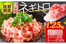 ネギトロ 1.25kg (250g×5パック) 冷凍 小分け | 自家製 鮪 まぐろ ねぎトロ ねぎとろ 寿司 ネギトロ丼 愛媛県 松山市 赤身 小分け ねぎとろ ネギトロ 自家製 ネギトロ ねぎとろ 鮪 ねぎとろ ねぎトロ ねぎとろ まぐろ 鮪   きはだ まぐろ ばち まぐろ寿司 ネギトロ丼 ねぎとろ ネギトロ )