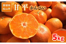 ＜ご家庭用＞1月下旬から発送 甘平5kg （ 愛媛 みかん 先行予約 蜜柑 柑橘 果物 くだもの フルーツ お取り寄せ グルメ 期間限定 数量限定 人気 おすすめ 愛媛県 松山市 ）