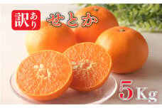 訳あり せとか 約5kg 柑橘 みかん 訳あり 愛媛県 松山市 オススメのせとか 訳ありみかん 愛媛県産せとか 柑橘 訳あり柑橘 せとか ふるさと納税せとか 期間限定柑橘 せとか ふるさと納税みかん 訳ありみかん 訳ありせとか 美味しいせとか 松山市産せとか