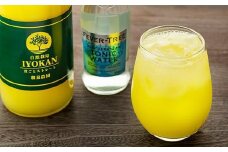 【2025年2月初旬より発送】【自然栽培】宮内伊予柑 皮ごとストレート720ml1本・トニックウォーター200ml4本セット 果汁100％ | みかんジュース みかんじゅーす ミカンジュース オレンジジュース おれんじじゅーす 愛媛 松山