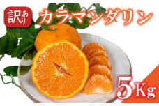 ＜4月中旬～5月上旬発送予定＞ 訳あり カラマンダリン 5kg  柑橘 みかん 訳あり 愛媛県 松山市 訳ありみかん 柑橘 ふるさと納税 期間限定柑橘 ふるさと納税みかん 訳ありみかん
