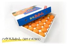 【6月下旬から発送】 2025年6月より発送 ハウスみかん（温室みかん・ハウス栽培)【期間限定】 （ 愛媛産 愛媛県産 国産 愛媛みかん 愛媛蜜柑 愛媛ミカン みかん ミカン mikan 蜜柑 柑橘 フルーツ 果物 くだもの お取り寄せ 産地直送 数量限定 人気 おすすめ 愛媛県 松山市 送料無料 ）