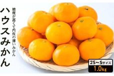 【先行予約】 8月下旬から発送 ハウスみかん 2SからSサイズ 1.0kg （愛媛県産 みかん 蜜柑 オレンジ 柑橘 果物 フルーツ 家庭用 お取り寄せ おすすめ 愛媛県 松山市 ）