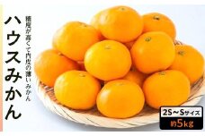 【先行予約】 8月下旬から発送 ハウスみかん　2S～Sサイズ　5kg （愛媛県産 みかん 蜜柑 オレンジ 柑橘 果物 フルーツ 家庭用 お取り寄せ おすすめ 愛媛県 松山市 ）
